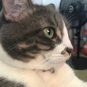 Meet your Posher, Katrina